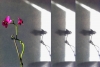 Ombres3.jpg
