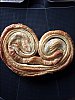 Palmier.jpg