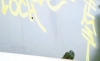 Pigeon~0.jpg