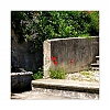Quai_de_Rhone.jpg