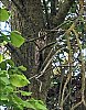 Rap23060704.jpg