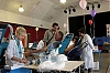 StCyp6.jpg