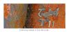 T_11_texte.jpg