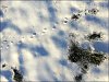 Traces~0.jpg