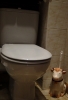 Vache.jpg