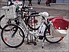 Velodentelle.jpg