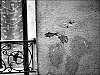 _The_chat_026.jpg