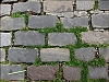 sous_les_paves.jpg
