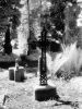 Cimetiere_10_IR.jpg