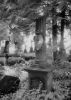 Cimetiere_11_IR.jpg