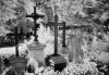 Cimetiere_8_IR.jpg