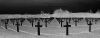 Cimetiere_militaire_St-Avold_II.jpg