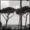 Coi-Rome-02.jpg