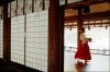 Japon-HS10.jpg
