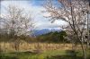 Japon-fuji-2.jpg