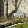 LoireM1.jpg