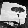 Mar-Rome-04.jpg
