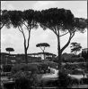 Mar-Rome-05.jpg