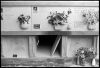VeniseCimetiere04.jpg