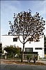 Vienne-vb-C32.jpg