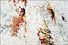 Wien-Karlskirche-21.jpg