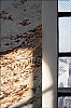 Wien-Karlskirche-25.jpg
