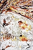 Wien-Karlskirche-27.jpg