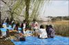hanami01.jpg