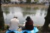 hanami02.jpg
