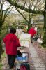 hanami06.jpg