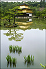 jardins-temples05.jpg
