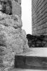 montmajour-m-03.jpg