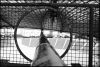 mun-stadium-07.jpg