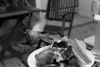 oiseau2.jpg
