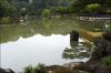 reflets5.jpg
