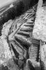 saint-roman-02.jpg