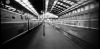 stenopallum-gare.jpg