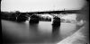 stenopallum-pont1.jpg