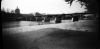 stenopallum-pont2.jpg