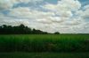 L1000063.jpg