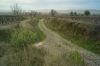 L1000582.jpg
