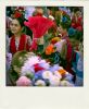 L1001298-2-pola.jpg