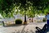 L1001354a_1.jpg