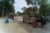 L1001560a.jpg