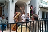 L1002231-2.jpg