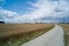 L1003201a.jpg