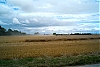 L1003999a.jpg