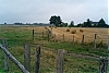 L1004093a_1.jpg