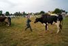 L1004489-2.jpg