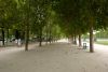 L1008867a~0.jpg